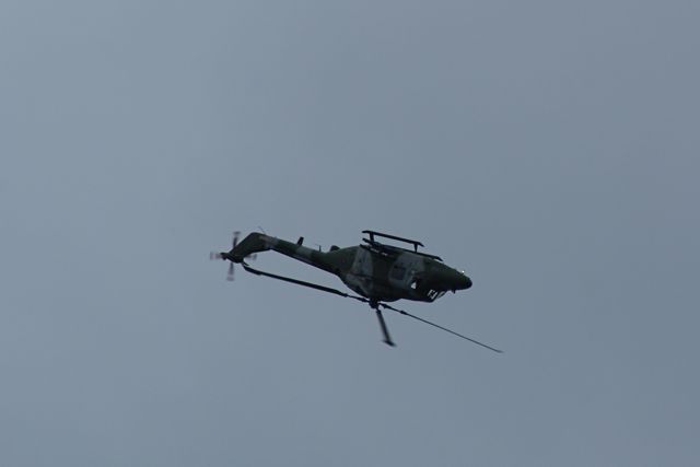 Blue Eagles Lynx DSC06291.JPG