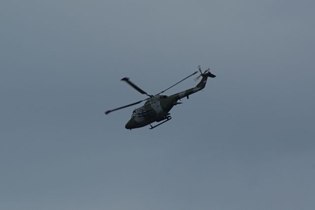 Blue Eagles Lynx DSC06294.JPG