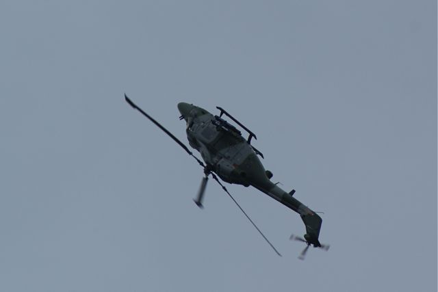 Blue Eagles Lynx encore DSC06297.JPG