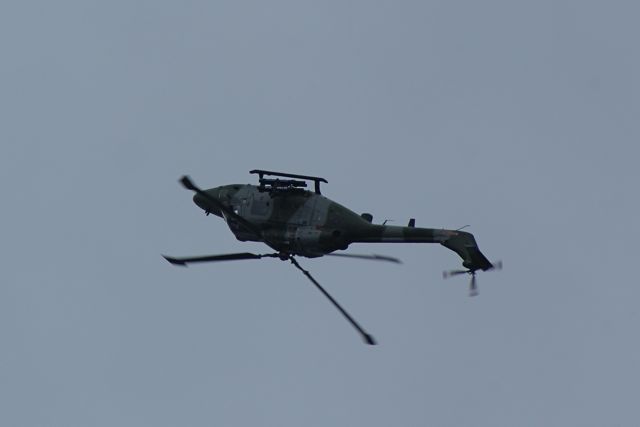 Blue Eagles Lynx encore DSC06298.JPG