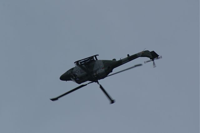 Blue Eagles Lynx encore DSC06299.JPG