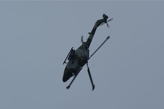 Blue Eagles Lynx encore DSC06301.JPG