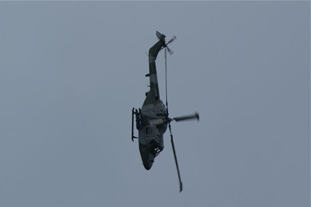 Blue Eagles Lynx encore DSC06302.JPG