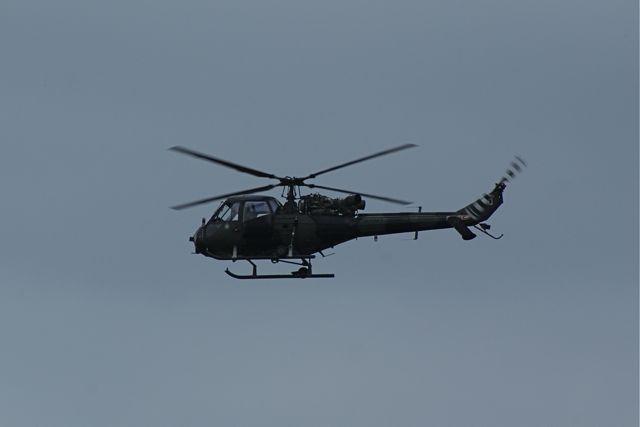 Blue Eagles DSC06263.JPG