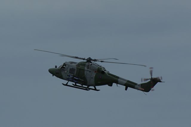Blue Eagles Lynx DSC06305.JPG