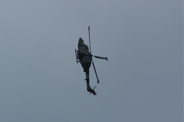 Blue Eagles Lynx DSC06286.JPG