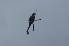 Blue Eagles Lynx DSC06288.JPG