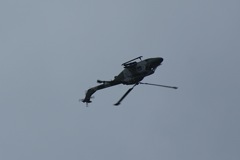 Blue Eagles Lynx DSC06290.JPG