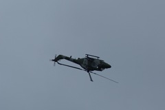Blue Eagles Lynx DSC06291.JPG