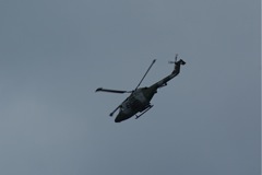 Blue Eagles Lynx DSC06293.JPG