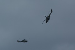 Blue Eagles DSC06295.JPG