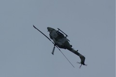 Blue Eagles Lynx encore DSC06297.JPG