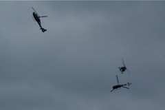 Blue Eagles DSC06258.JPG