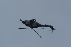 Blue Eagles Lynx encore DSC06298.JPG