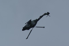 Blue Eagles Lynx encore DSC06300.JPG