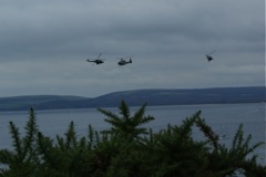Blue Eagles DSC06303.JPG