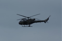 Blue Eagles DSC06263.JPG