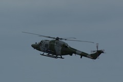 Blue Eagles Lynx DSC06305.JPG