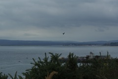 Eurofighter