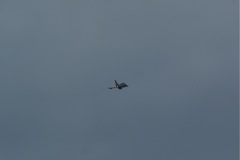 Eurofighter - ultimate boy's toy (& gals) DSC06425.JPG