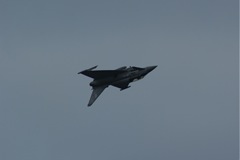 Eurofighter - ultimate boy's toy (& gals) DSC06477.JPG