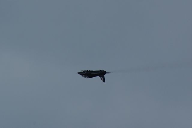 Hawk - advanced training jet fighter DSC06375.JPG