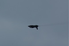 Hawk - advanced training jet fighter DSC06375.JPG