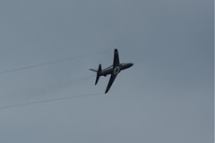 Hawk - advanced training jet fighter DSC06386.JPG