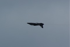 Hawk - advanced training jet fighter DSC06388.JPG
