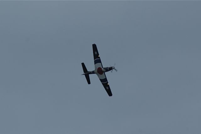 Tucano - progressive training DSC06314.JPG