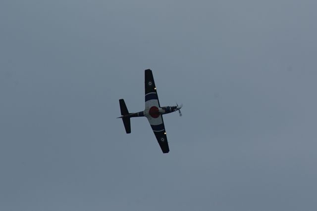 Tucano - progressive training DSC06316.JPG