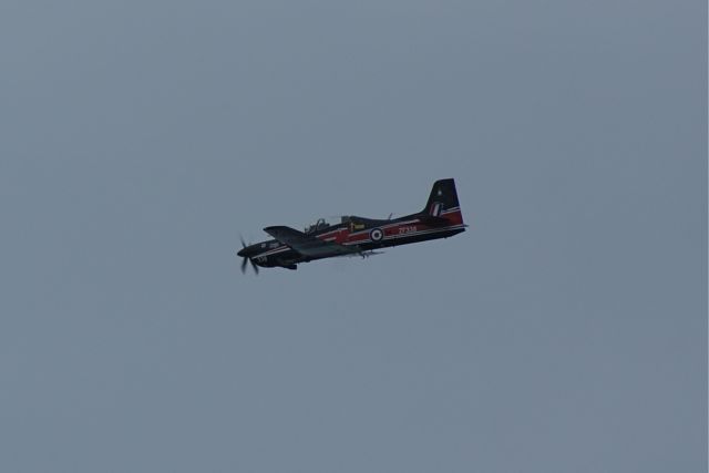 Tucano - progressive training DSC06321.JPG