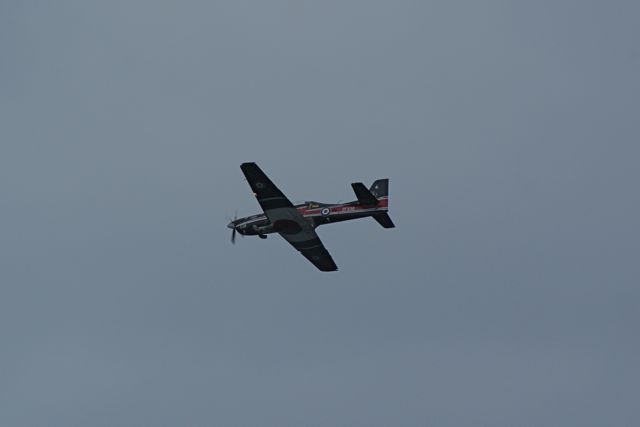 Tucano - progressive training DSC06322.JPG