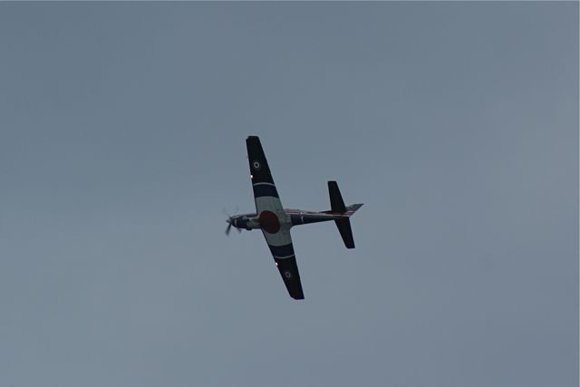 Tucano - progressive training DSC06323.JPG