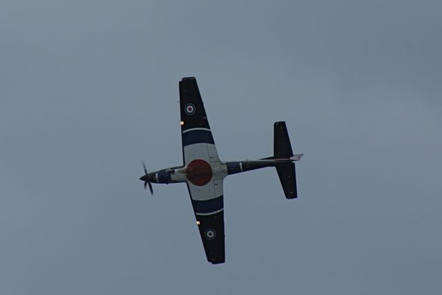 Tucano - progressive training DSC06327.JPG