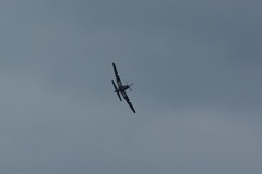 Tucano