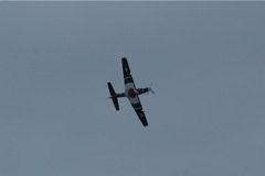 Tucano - progressive training DSC06314.JPG