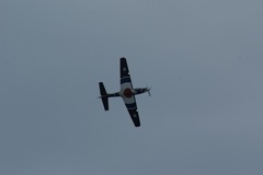 Tucano - progressive training DSC06316.JPG