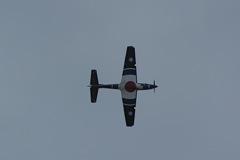 Tucano - progressive training DSC06318.JPG
