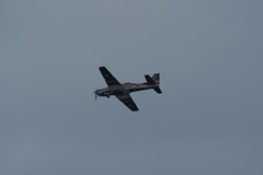 Tucano - progressive training DSC06322.JPG