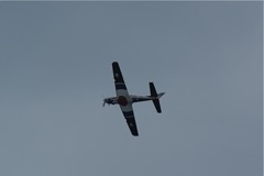 Tucano - progressive training DSC06323.JPG