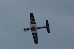 Tucano - progressive training DSC06327.JPG
