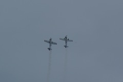 Yakovlevs