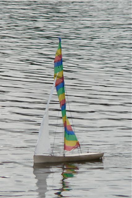 P1000382 © Peter Taylor 2005