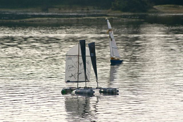 DSC04387 © Peter Taylor 2007