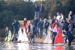 DSC04372 © Peter Taylor 2007