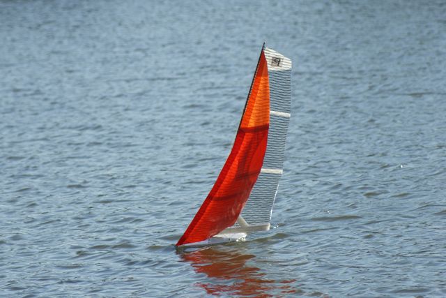 DSC00137.JPG
