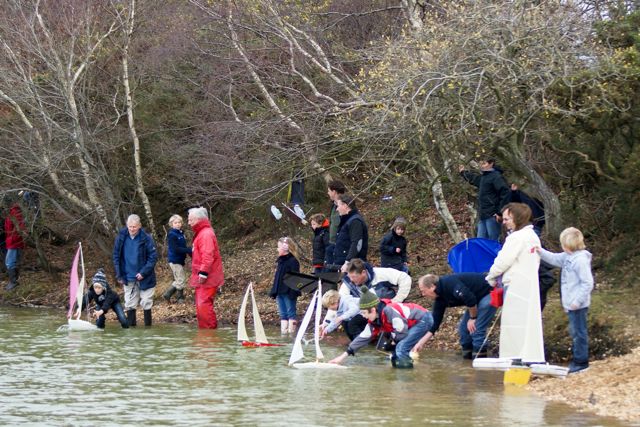 DSC03302 © Peter Taylor 2011