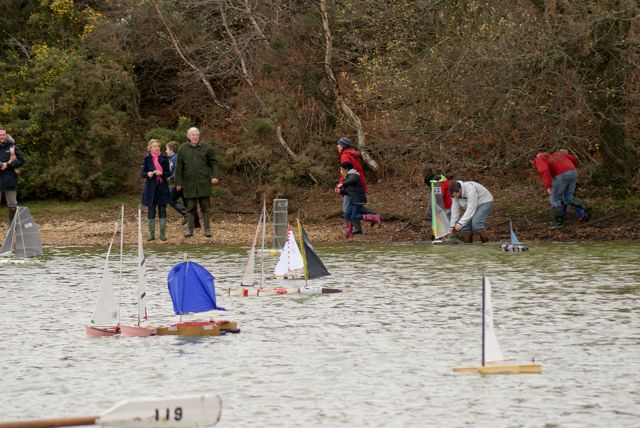 DSC03313 © Peter Taylor 2011