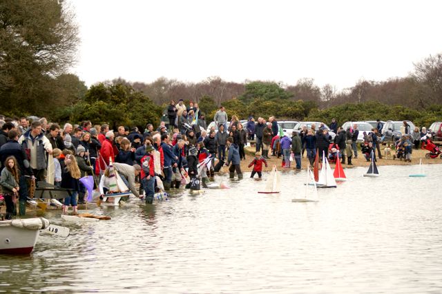 DSC03327 © Peter Taylor 2011